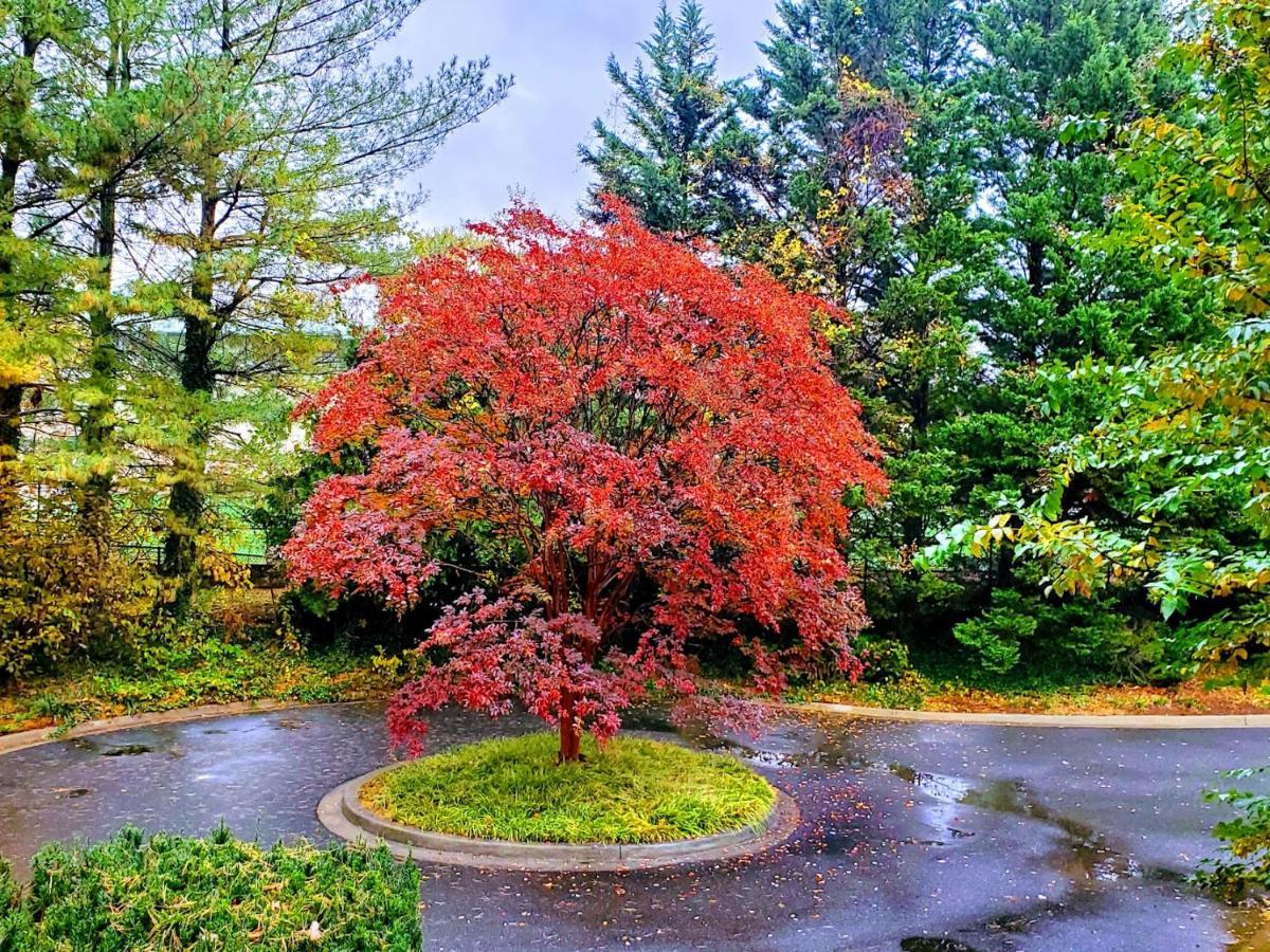 Free Parking On A Private St., Minutes To Georgetown, Medstar Hospital, Georgetown University And More Вашингтон Экстерьер фото